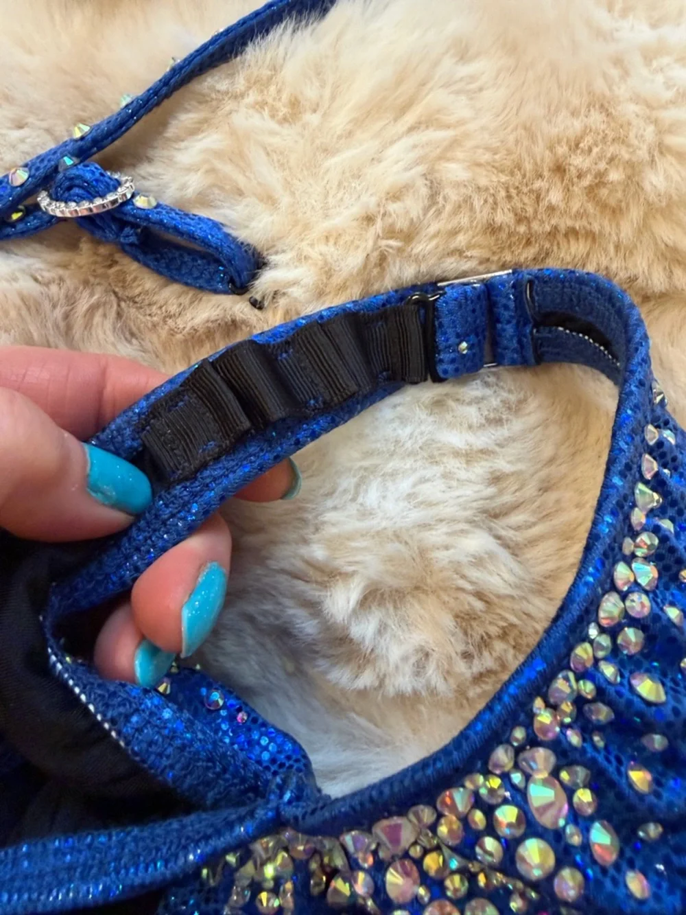 Muscle Dazzle Royal Blue Figure Suit never worn original box included - Picture 6 of 16